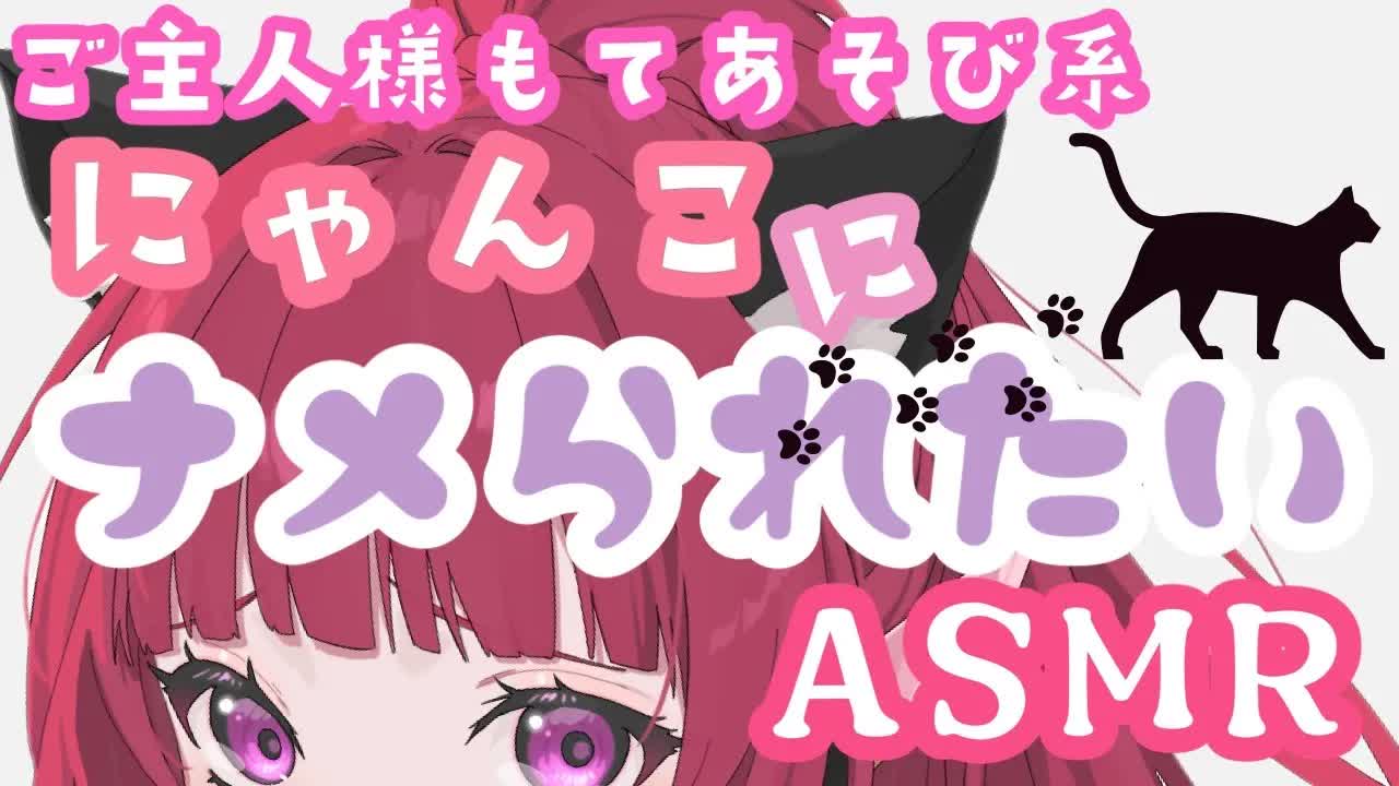 【ASMR】ナマイキにゃんこがご主人をナメつくす❤【耳かき_シャンプー_ジェルボール_ブラシ_耳なめ_耳しゃぶり_耳ふー_囁き_口腔音_Earlicking_Japanease】-8PG3FD8Tz50